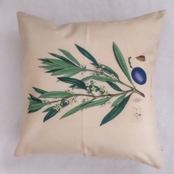 New SET Fruits & Veggies Accent Pillow Case - Picture 1 of 8